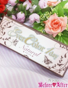 EverColor1day Natural シャンパンブラウン