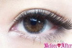 eyelabo-brume-brown