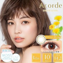 アコルデモイスト ハニーブラウン