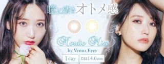 Venus Eyes(ヴィーナスアイズ)ノルディックミスト
